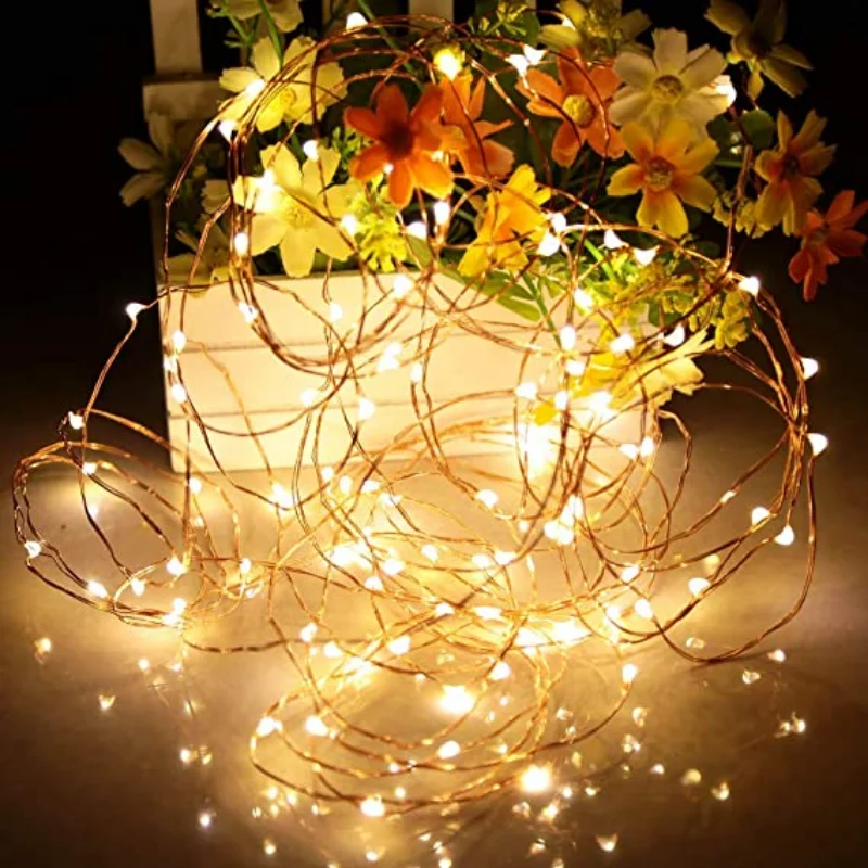 Christmas  / Wedding Fairy Lights